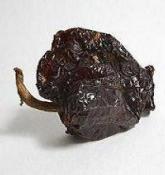 PASILLA CHILI PEPPER