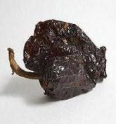 PASILLA CHILI PODS