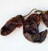 CALIFORNIA CHILI PEPPER