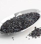 POPPY SEED