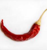 ARBOL CHILI